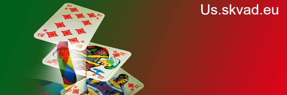 us.skvad.eu